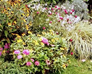 埼玉県結婚相談所　スミレクラブ　大学生とコラボ授業