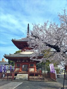 埼玉県川越市結婚相談所　スミレクラブ　法人会員様