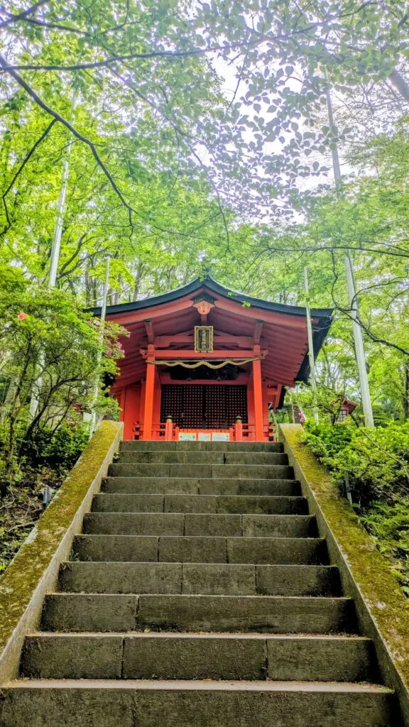 埼玉県川越市結婚相談所スミレクラブ　本宮 