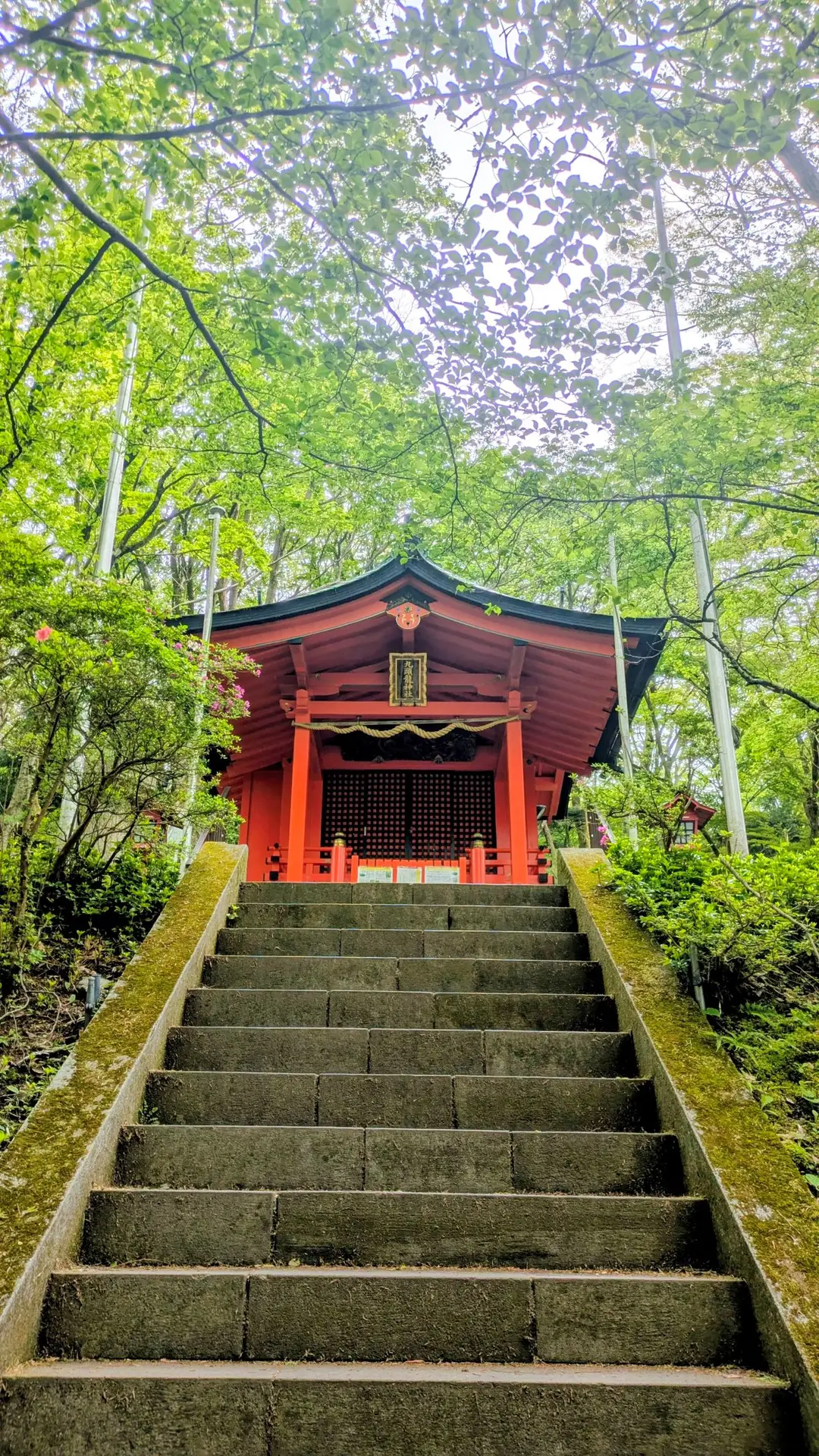 埼玉県川越市結婚相談所スミレクラブ　本宮